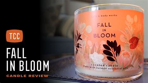 fall in bloom review.